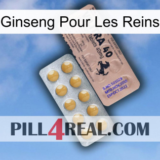 Ginseng For Kidney 41